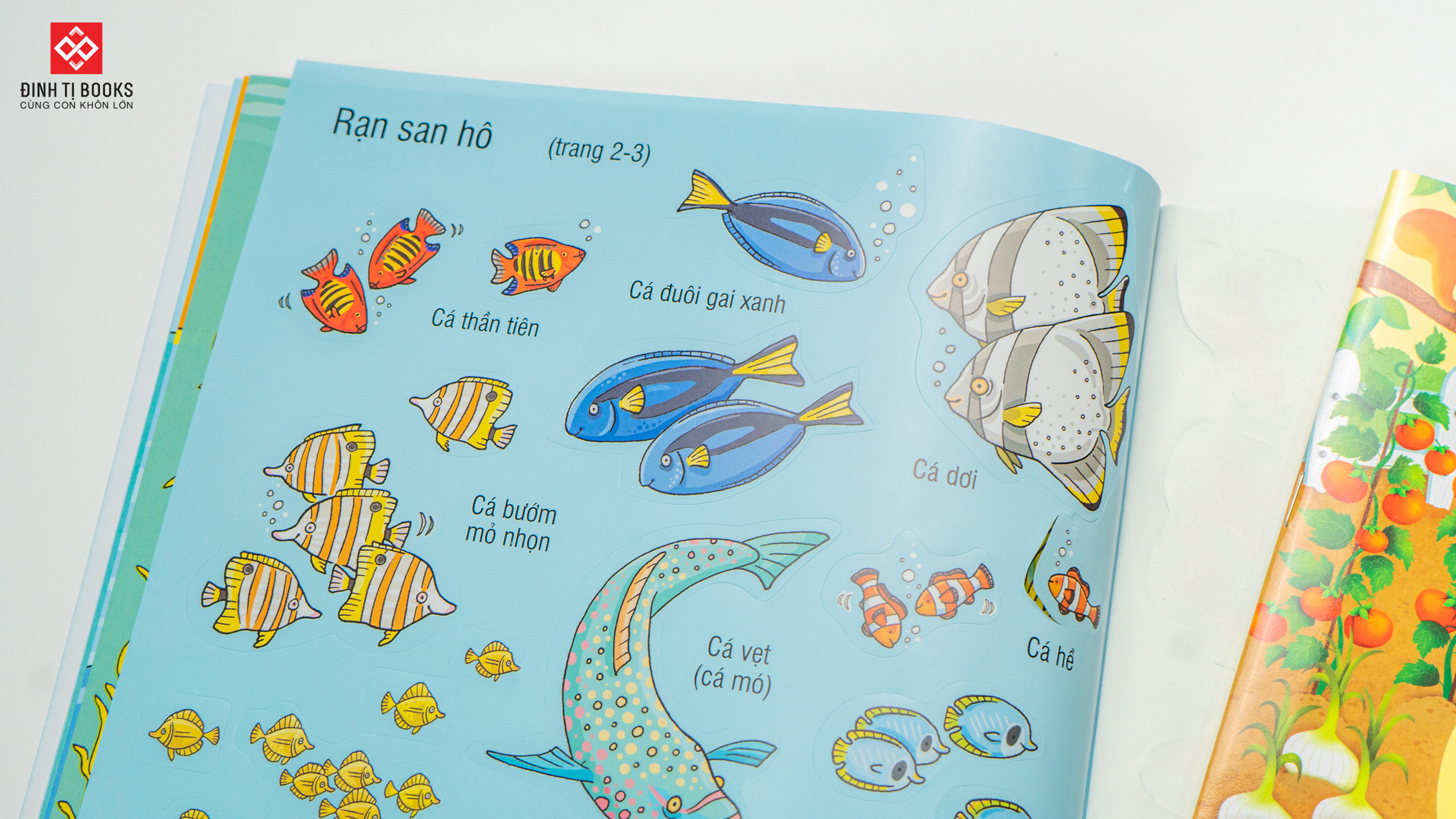 First Sticker Book - Sách dán hình đầu đời cho bé - Đại dương