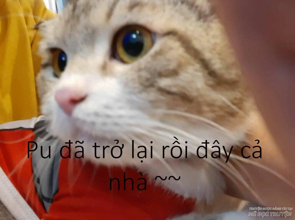 quy tắc của mỹ nam chapter 40 71