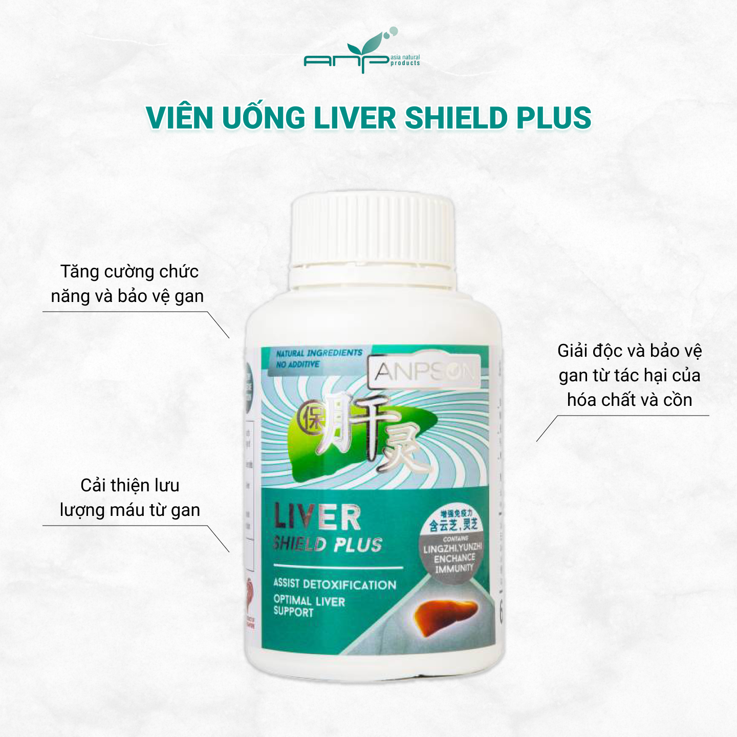 Viên Uống Giải Độc Gan Liver Shield Plus Giúp Tăng Cường Chức Năng Và Bảo Vệ Gan Khỏi Tác Hại Của Của Các Chất Có Hại Như Rượu Bia