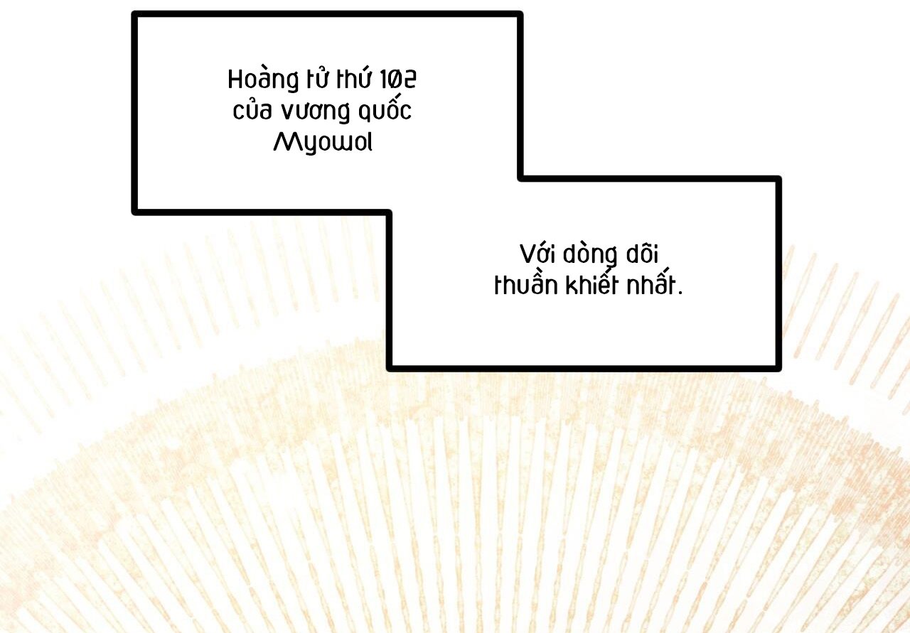 những chú thỏ của hapypy chapter 59 16