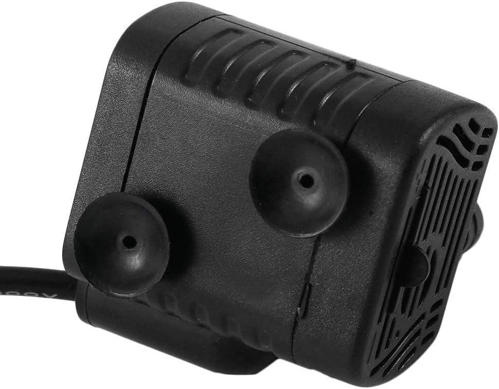 3W, hồ cá nhỏ, ao cá, rùa, động vật thủy sinh, điêu khắc, vườn, thuyền di chuyển, ao, đài phun nước, máy bơm hồ cá để bàn.