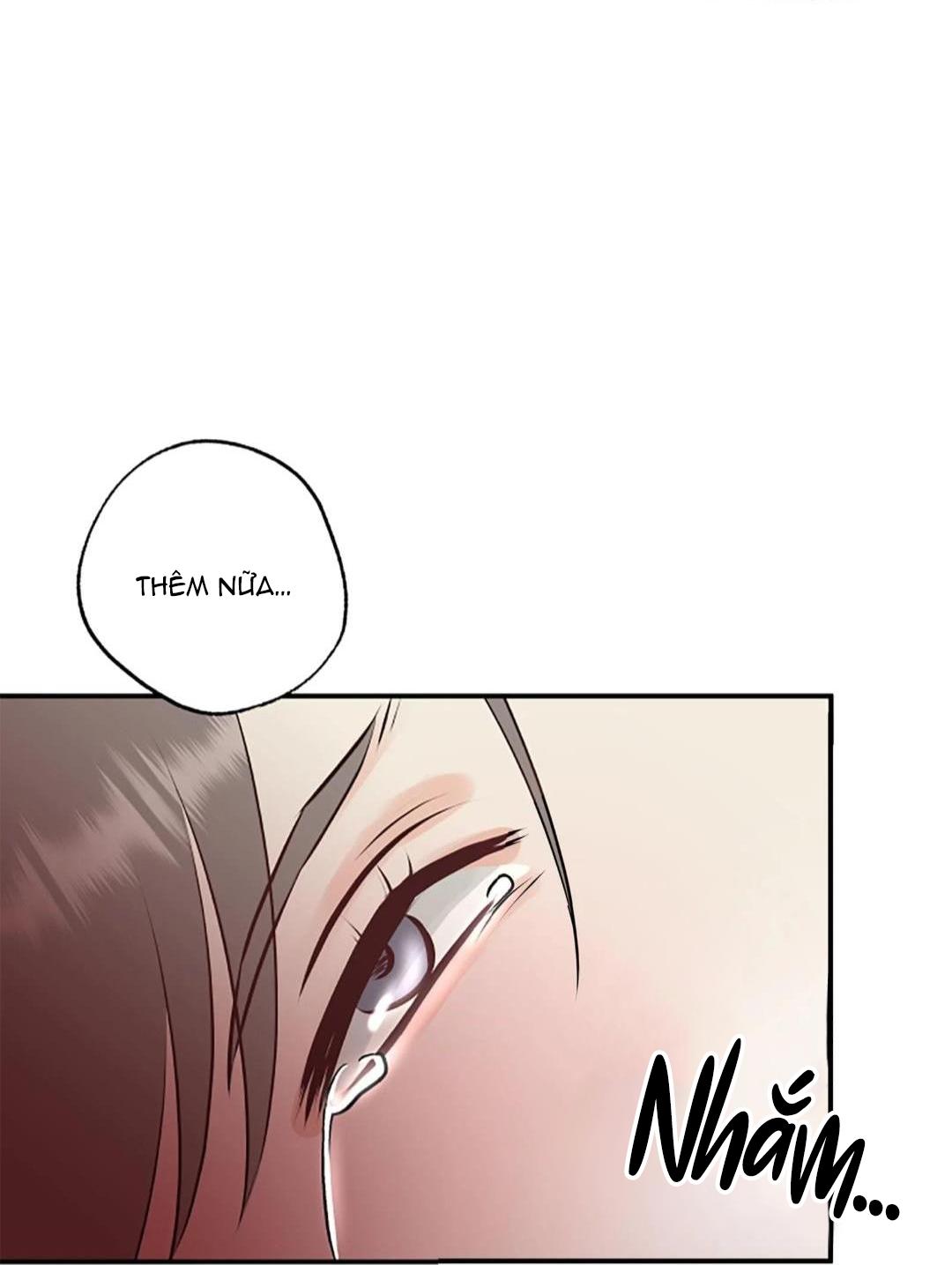 hạnh phúc trọn vẹn chapter 23 42