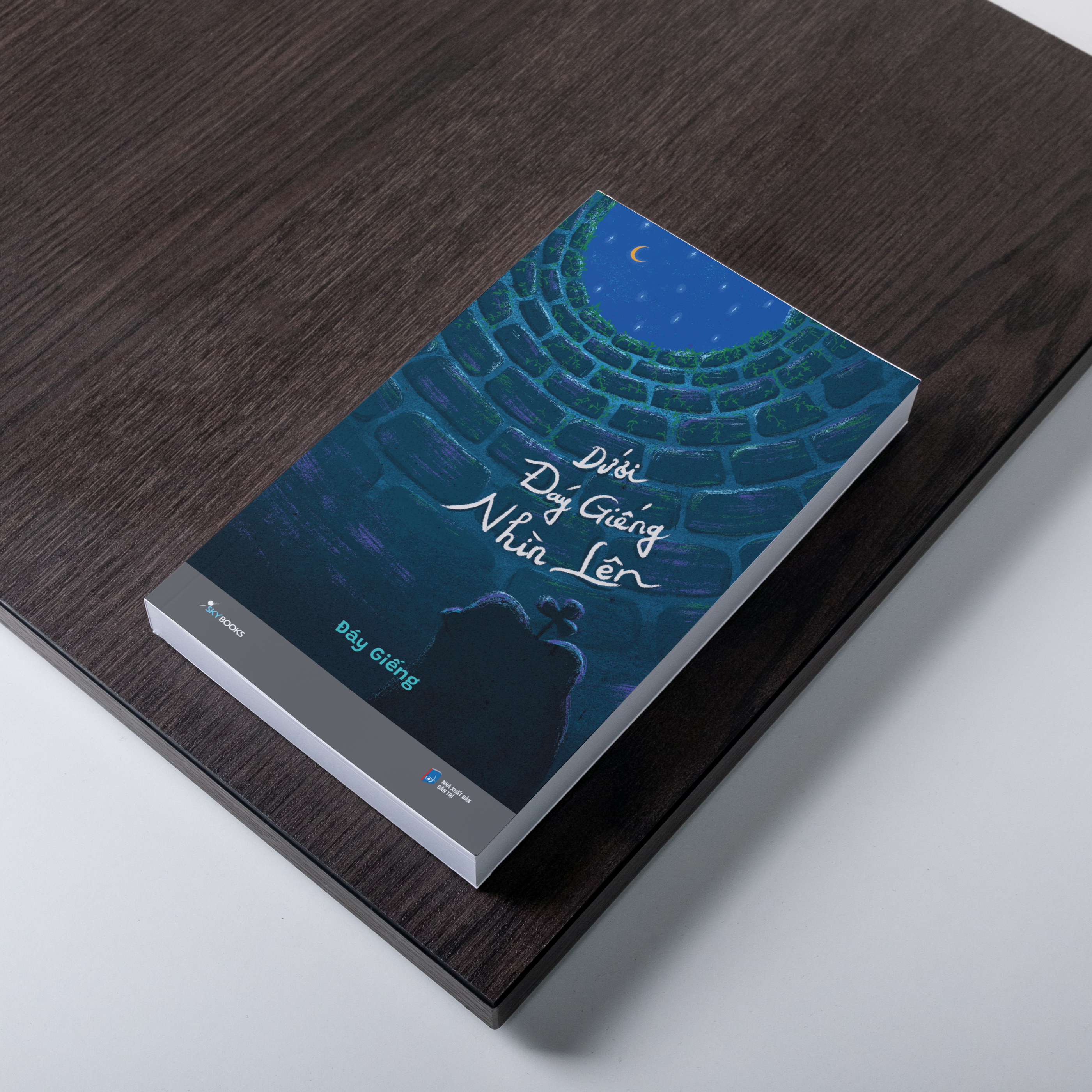 Dưới Đáy Giếng Nhìn Lên - Tặng Kèm Bookmark