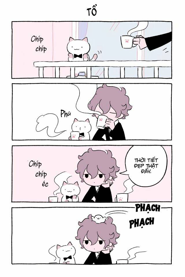 chú mèo kỳ diệu kyuu-chan chapter 542 2