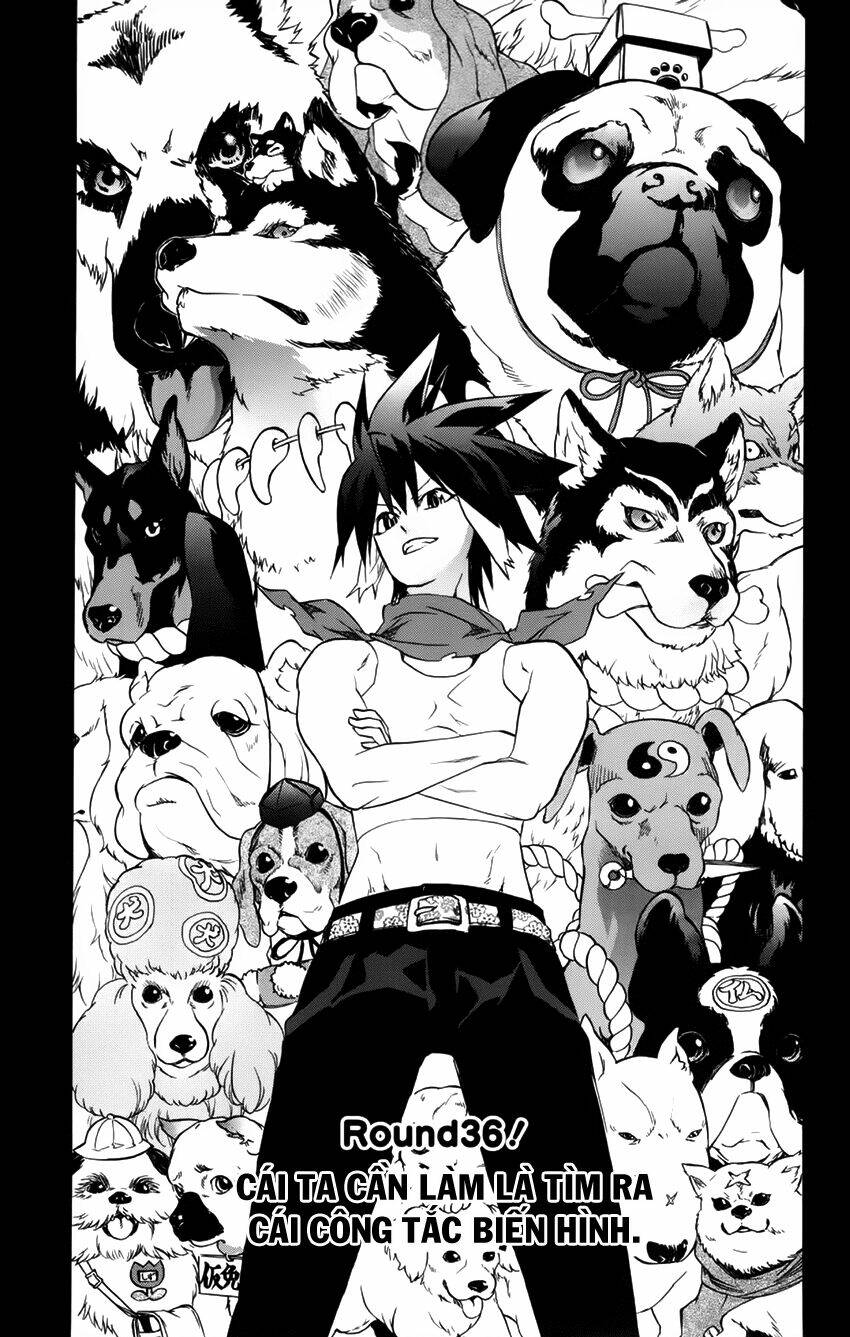 binbougami ga! chapter 36 4