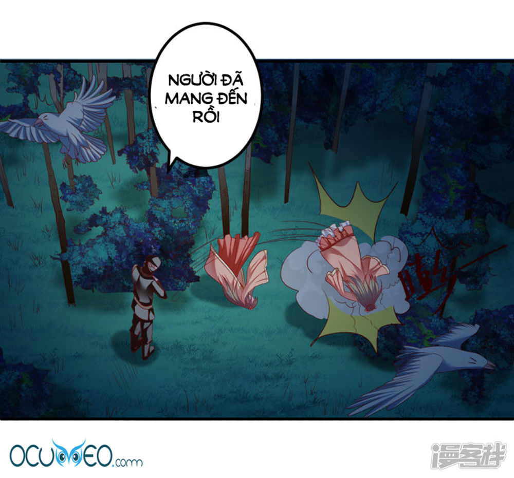 từ đây vương gia không thượng triều sớm chapter 54 14