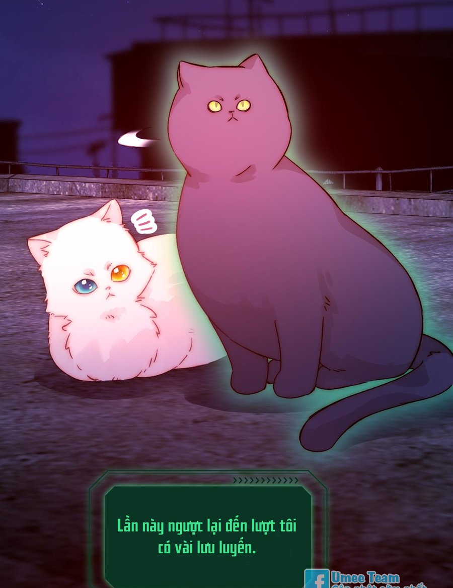 tôi phải làm một kẻ đại xấu xa chapter 91 24