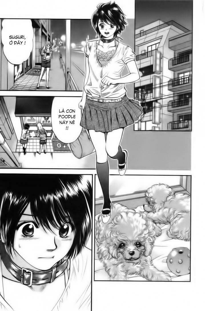 cô nàng yêu chó chapter 26 3