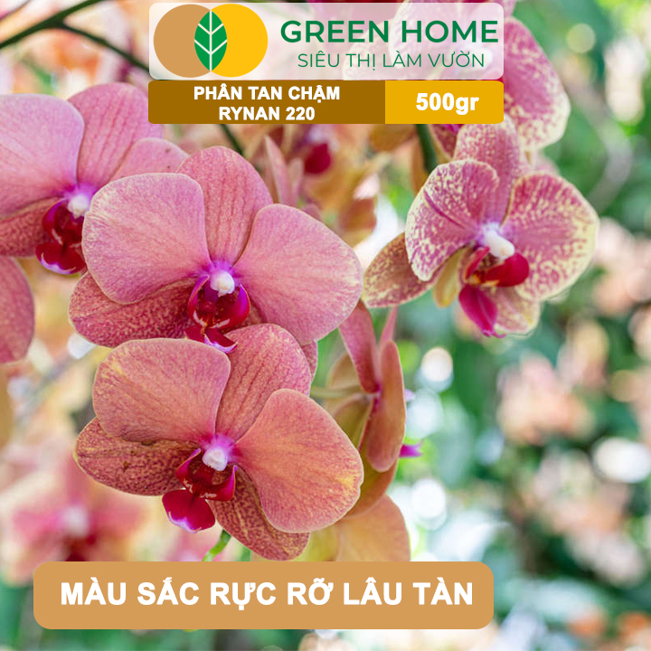 Phân Tan Chậm GreenHome, Rynan 220, Bao 500gr, Dùng Cho Phong Lan Ra Hoa, Hoa Bền Màu