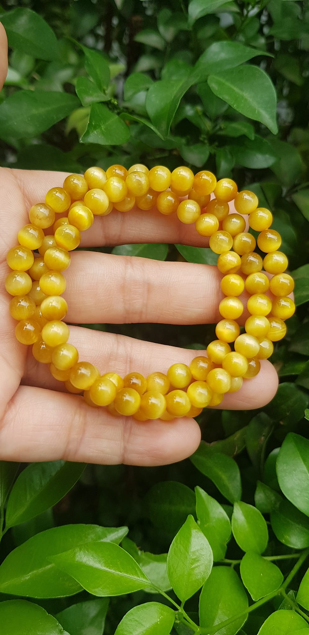 Vòng tay nữ đá mắt hổ tự nhiên vàng anh vip 6mm quấn tay 3 vòng đẹp vòng màu vàng anh tươi đẹp hợp nữ mệnh kim mệnh thổ mệnh thuỷ đeo tay may mắn xinh đẹp sang tay ạ