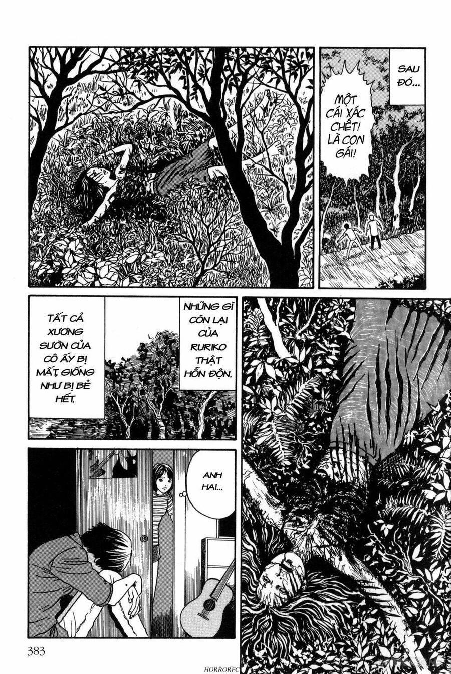 tuyển tập truyện ngắn kinh dị của ito junji chapter 15.7 18
