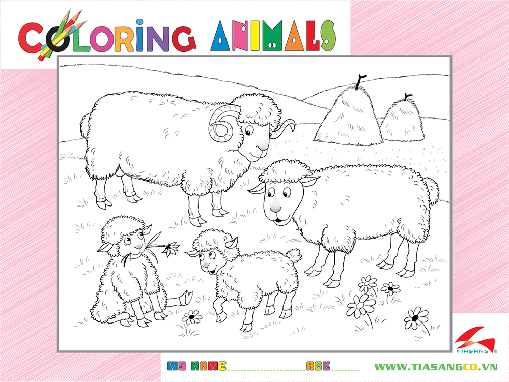 Xếp hình Tia Sáng Đàn cừu  (30 Mảnh Ghép) - Tặng kèm tranh tô màu cho bé
