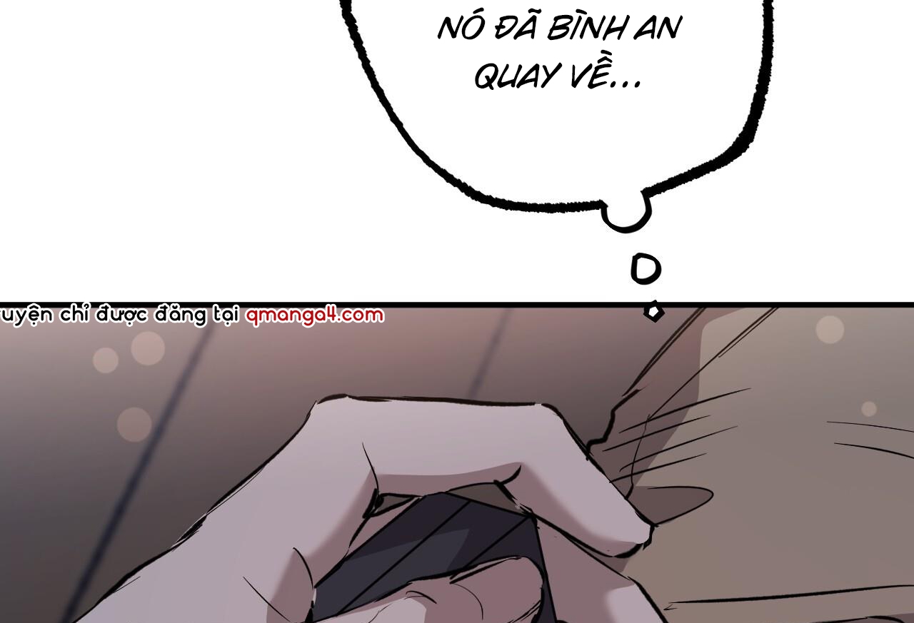 những chú thỏ của hapypy chapter 57 227