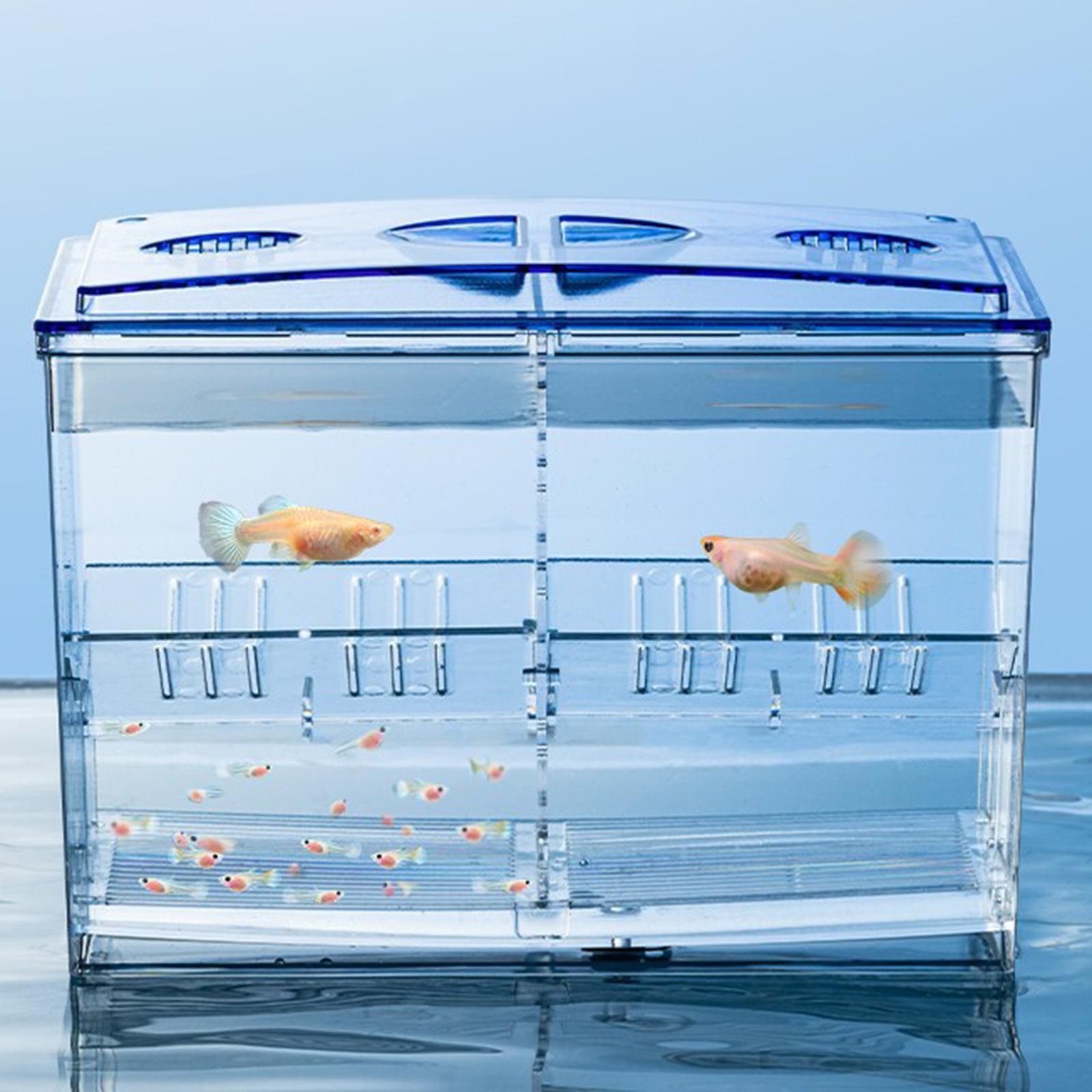 Fish Breeding Box Clear Fish  Box for  Fish Supplies