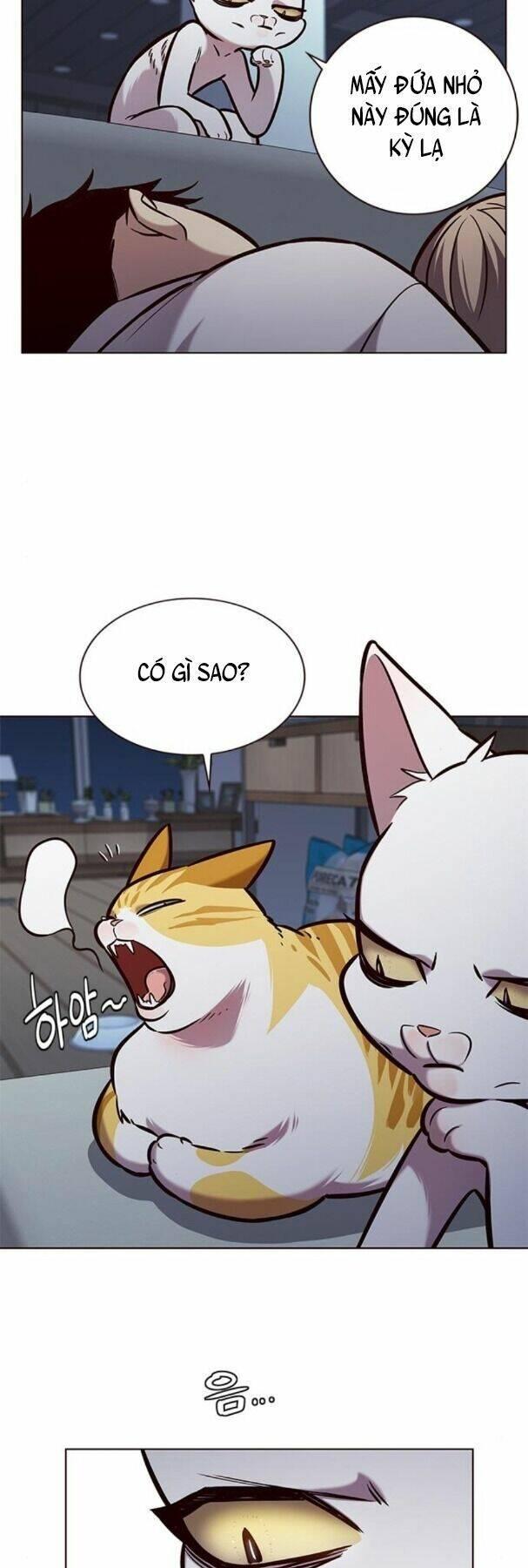 biến thân thành mèo chapter 190 20