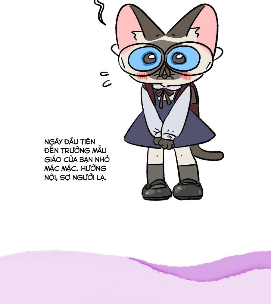 a mãn và mạch trà chapter 181 9