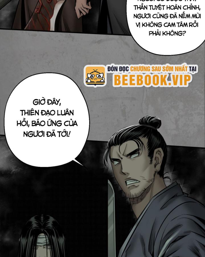 Tạng Phong Hành chapter 206 28