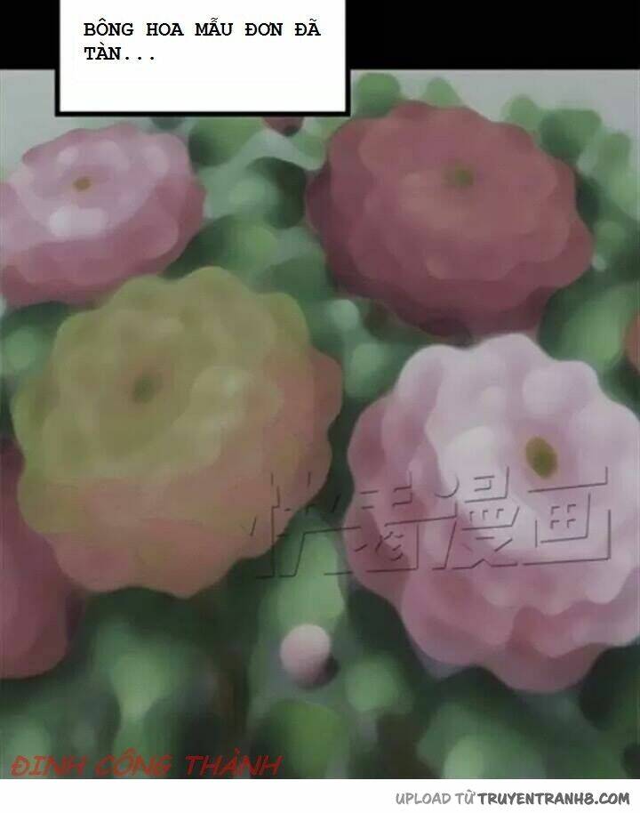 hoa mẫu đơn đen chapter 1 24