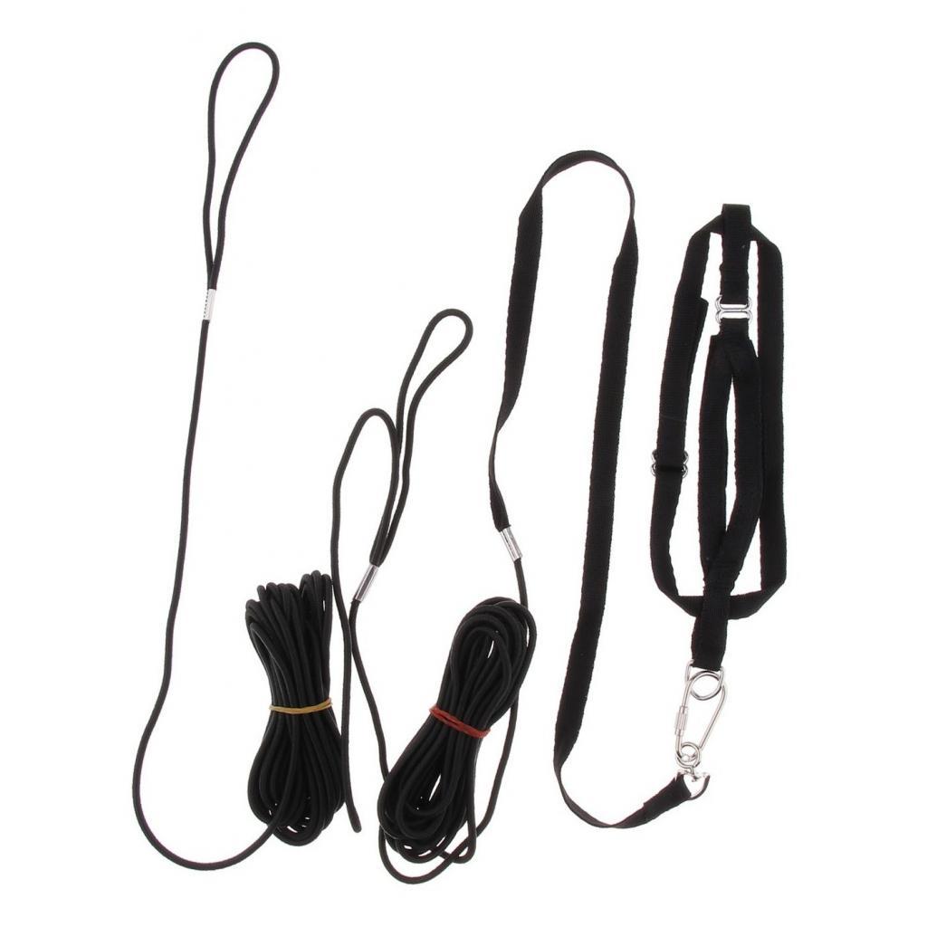 Outdoor Parrot Leash Adjustable Bird Harness For Small to Large Birds Black