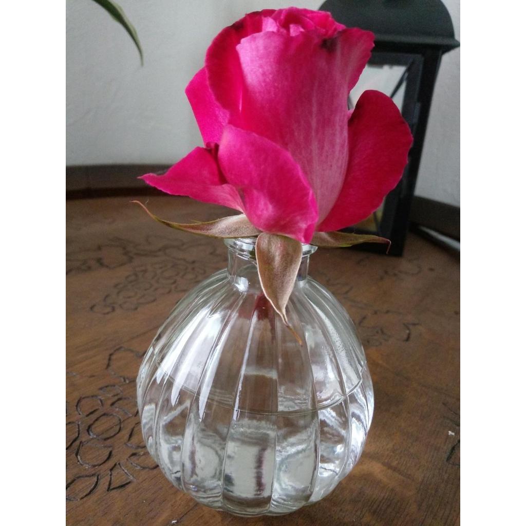 Bình cắm hoa thủy tinh