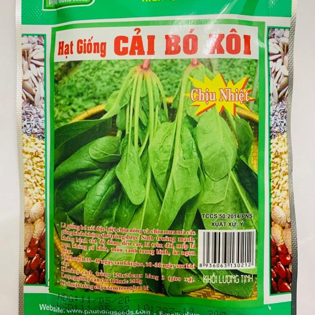 Hạt giống cải bó xôi