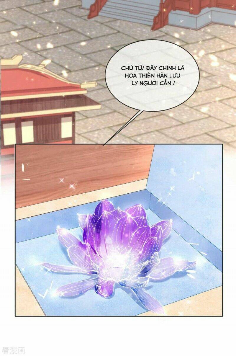 thị huyết y phi chapter 94 16