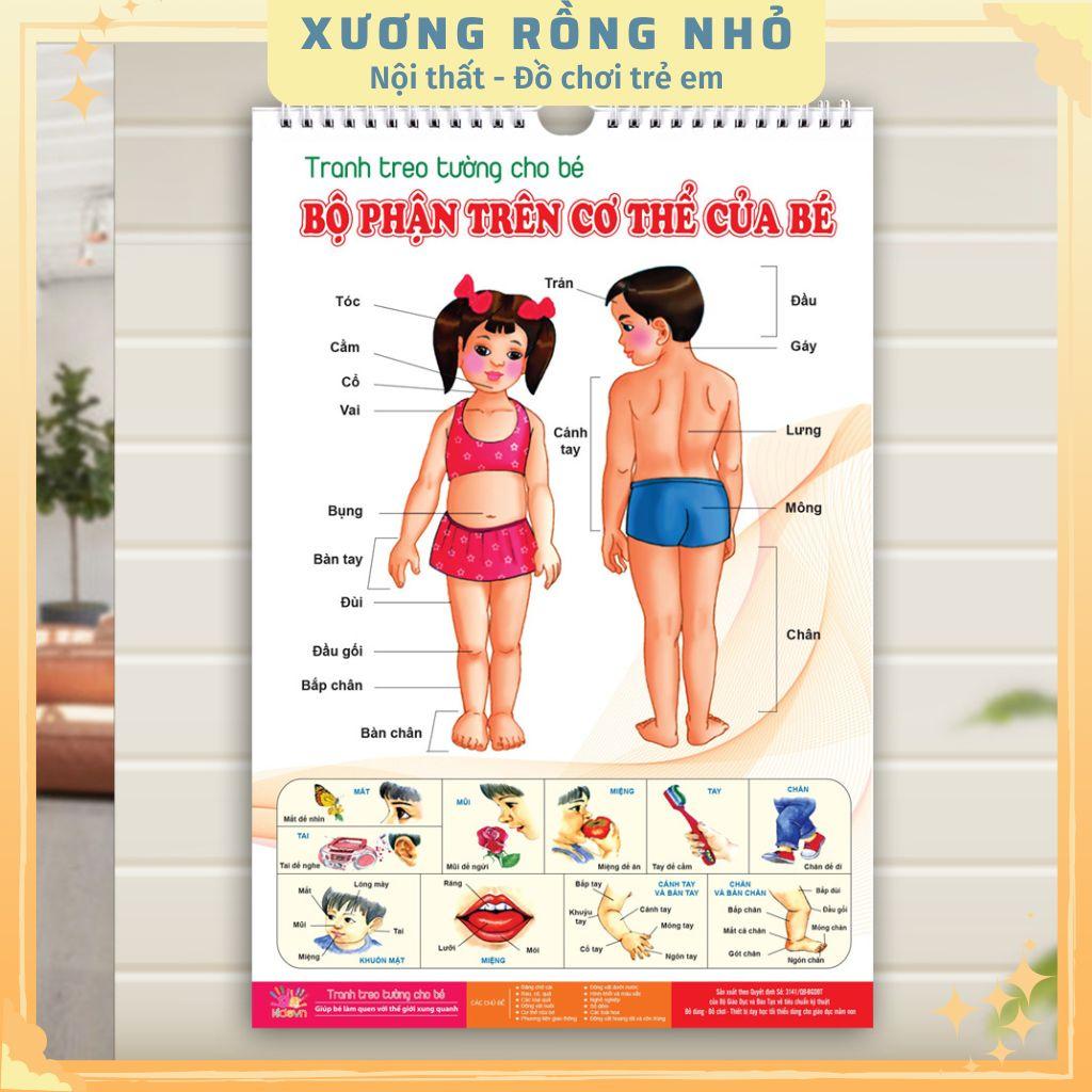 Tranh treo tường 14 chủ đề rõ nét cho bé học thế giới xung quanh