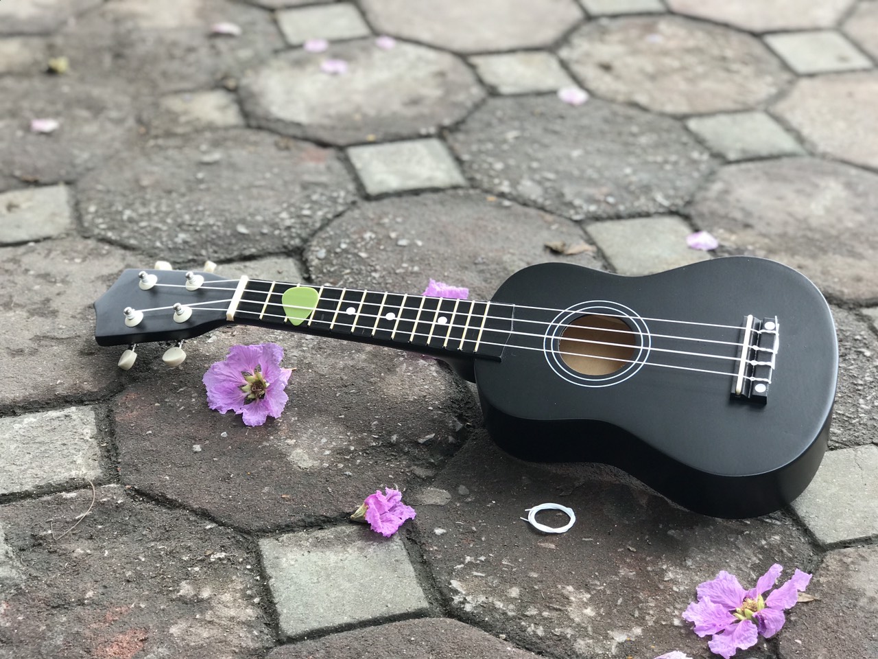 Đàn Ukulele màu đen