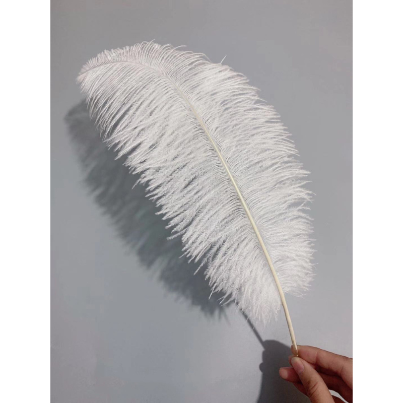 Lông Đà Điểu Màu Trắng Tự Nhiên 35-40CM Dùng Trang Trí Cho Tiệc Cưới,Spa...