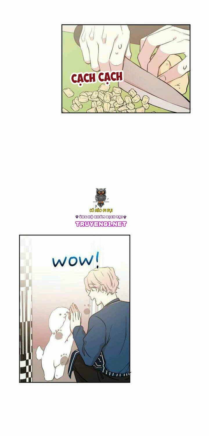 idol sống trong nhà tôi ! chapter 7 9