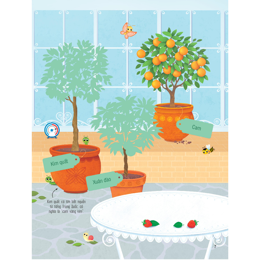 First Sticker Book - Sách Dán Hình Đầu Đời Cho Bé - Trái Cây Và Rau Củ