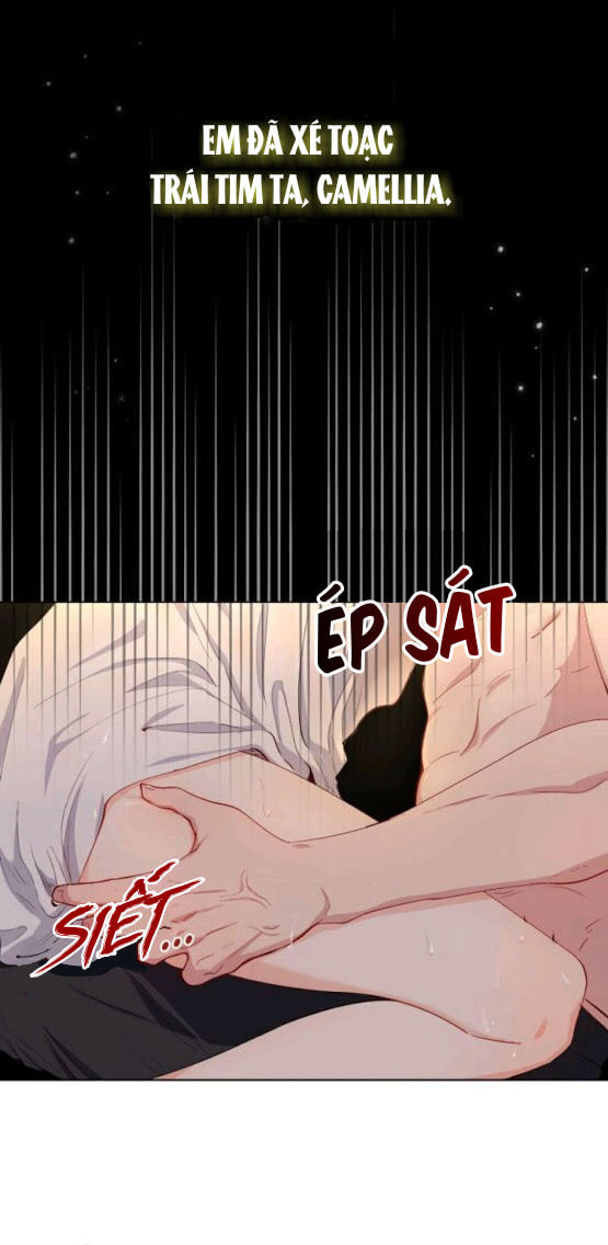 đi tìm nàng camellia chapter 0 10