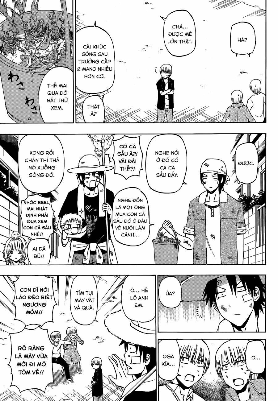 beelzebub - vua quỷ chapter 223 14