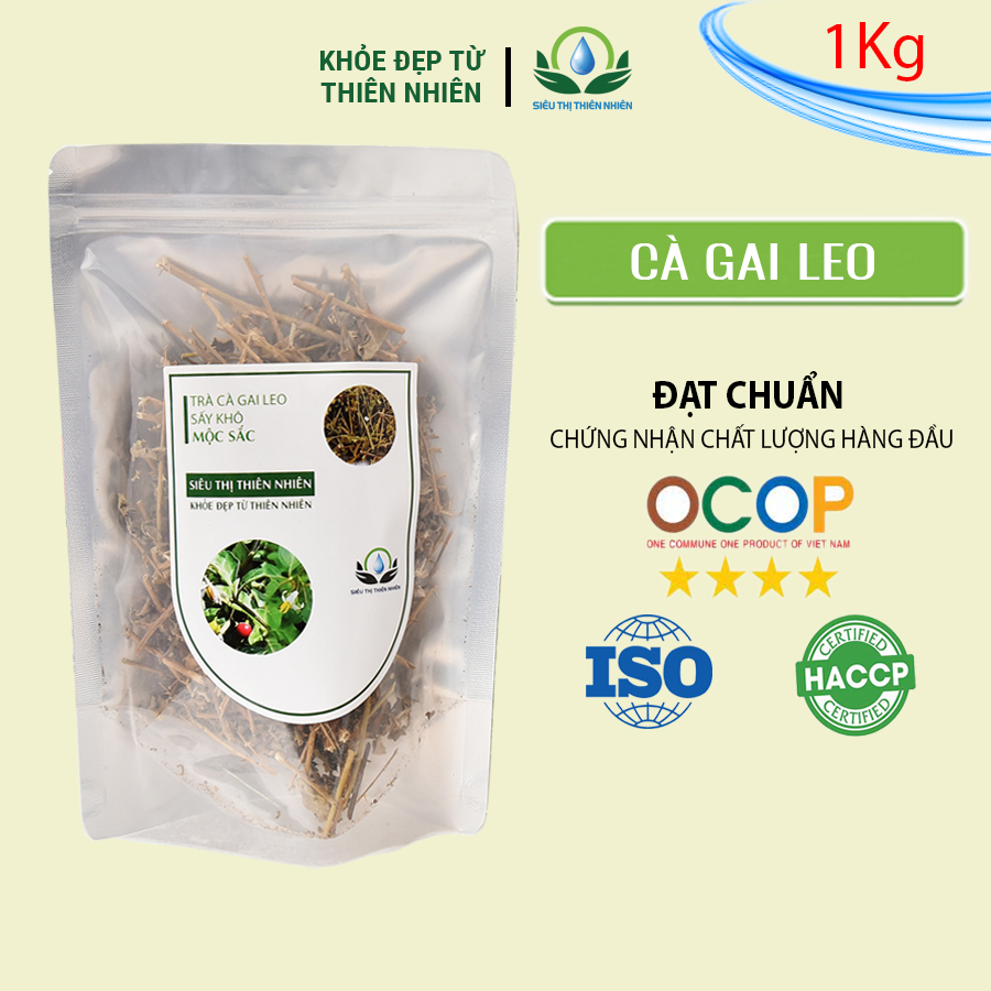 Cà Gai Leo Sấy Khô Mộc Sắc 1Kg