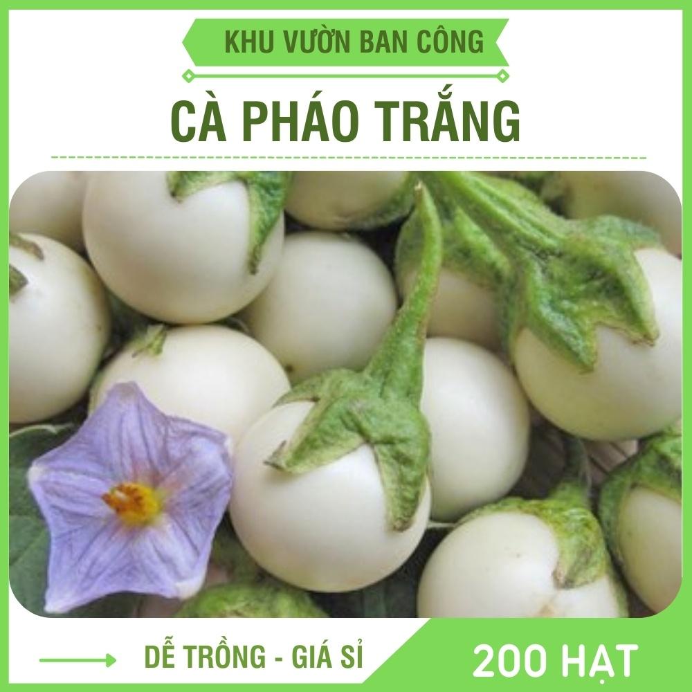Hạt Giống Cà Pháo Trắng Cao Sản Gói 200 Hạt/50 Hạt Cây Trồng Ban Công - Khu Vườn Ban Công