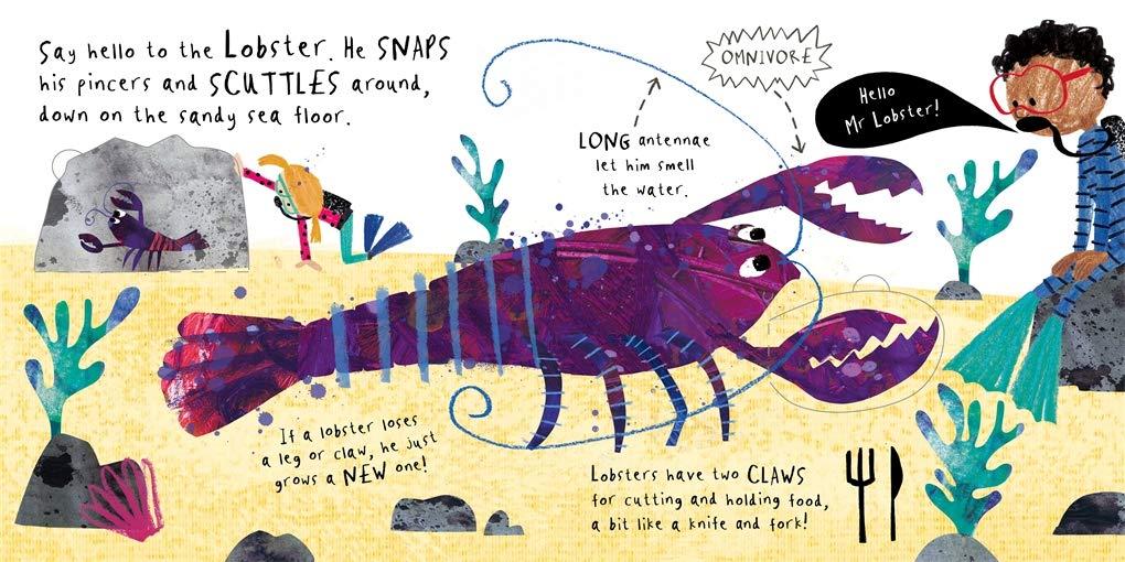 Sách ngoại văn: A Lift The Flat Book - Hello, Mr Whale!