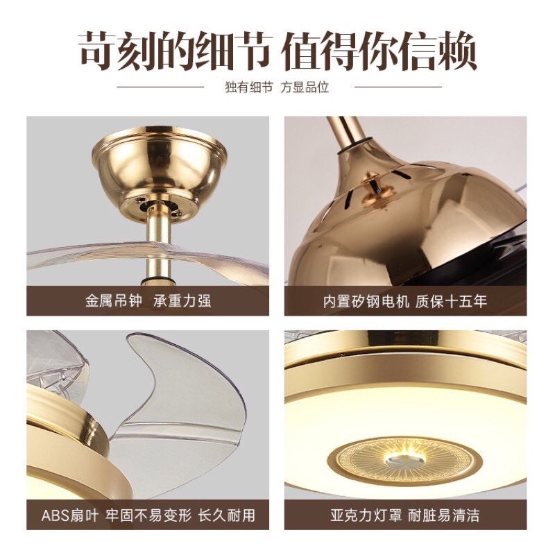 Quạt trần cánh cụp xòe IF121