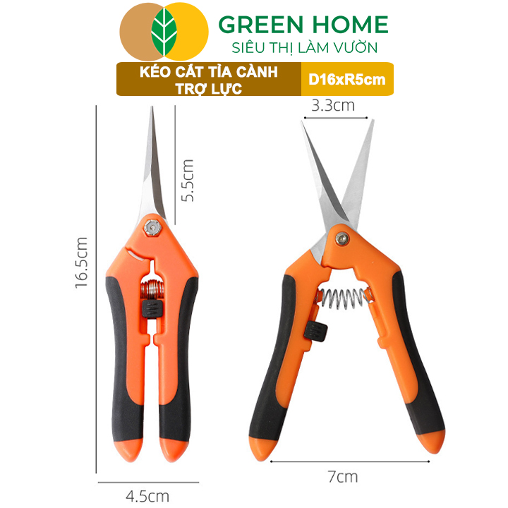 Kéo Cắt Cành GreenHome, D16,5xR4,5cm, Inox, Mũi Nhọn, Siêu Bén, Không Gỉ, Có Khoá An Toàn, Nhiều Màu Lựa Chọn
