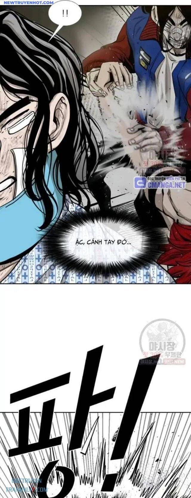 shark - cá mập chapter 209 22