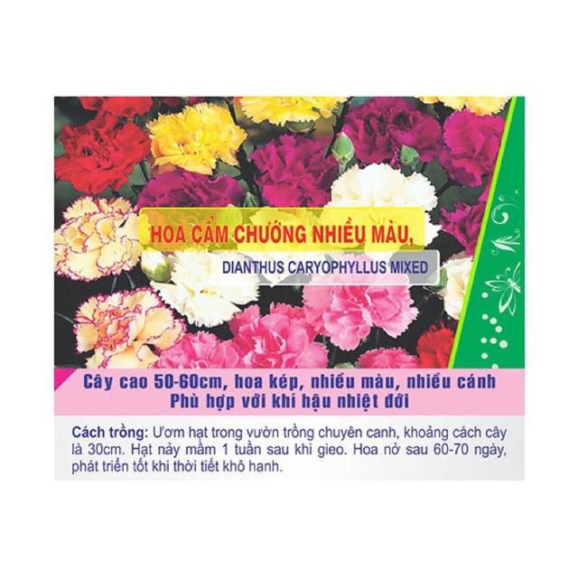 Hạt Giống Hoa Cẩm Chướng Nhiều Màu