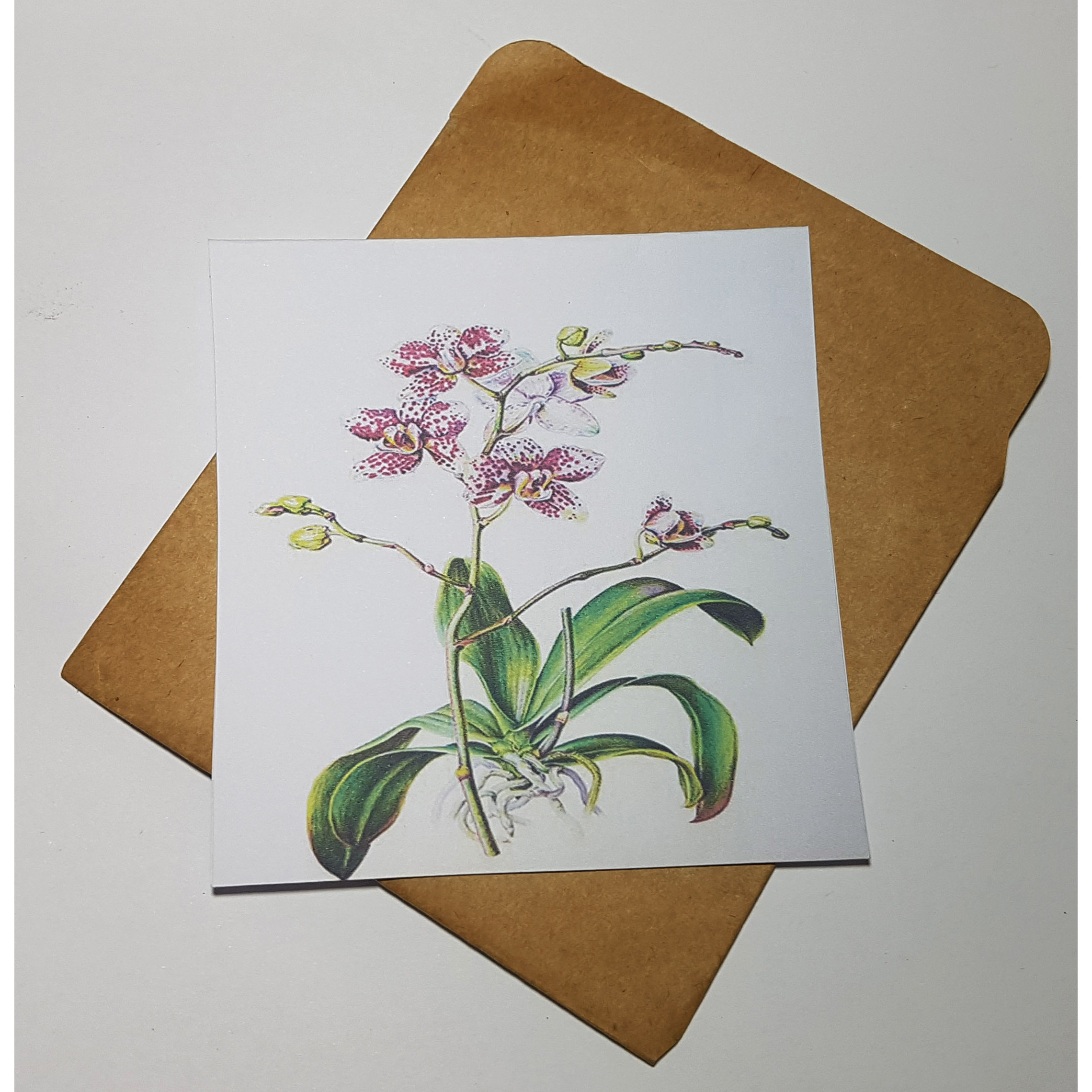 Thiệp phong cách Vintage card quà cám ơn ,chúc mừng sinh nhật và giử tặng người thân yêu