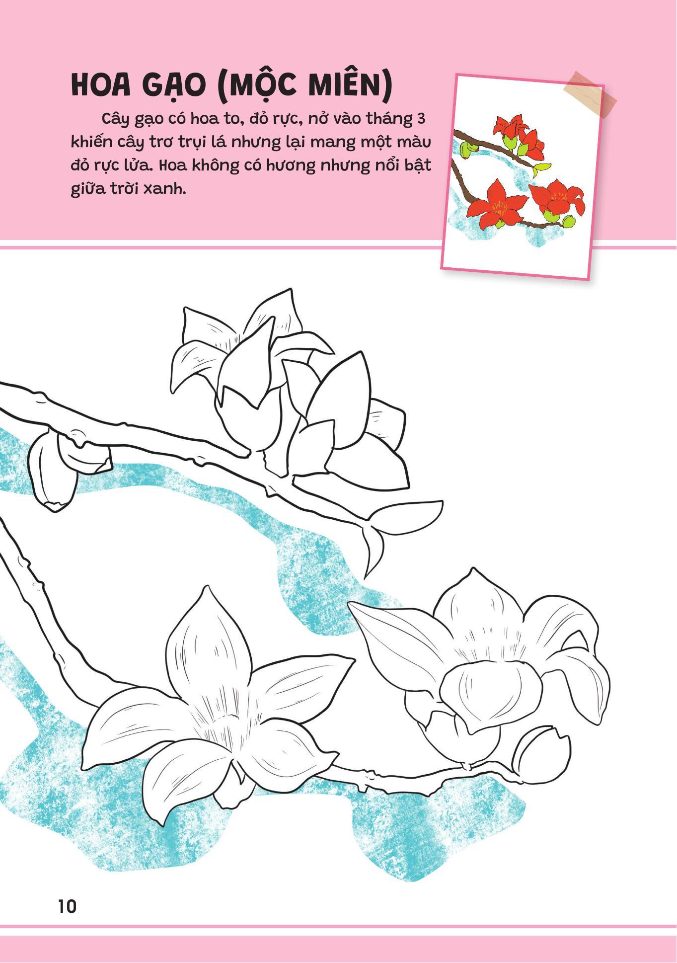 Sách - Yêu Quá Việt Nam - Các Loài Hoa