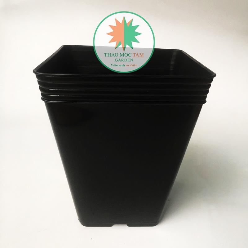 Bộ 05 Chậu Vuông Dày 28x33cm Trồng Hoa Hồng, Sung Mỹ, Cây Kiểng – Chất liệu nhựa PP, có độ dẻo chất lượng cao