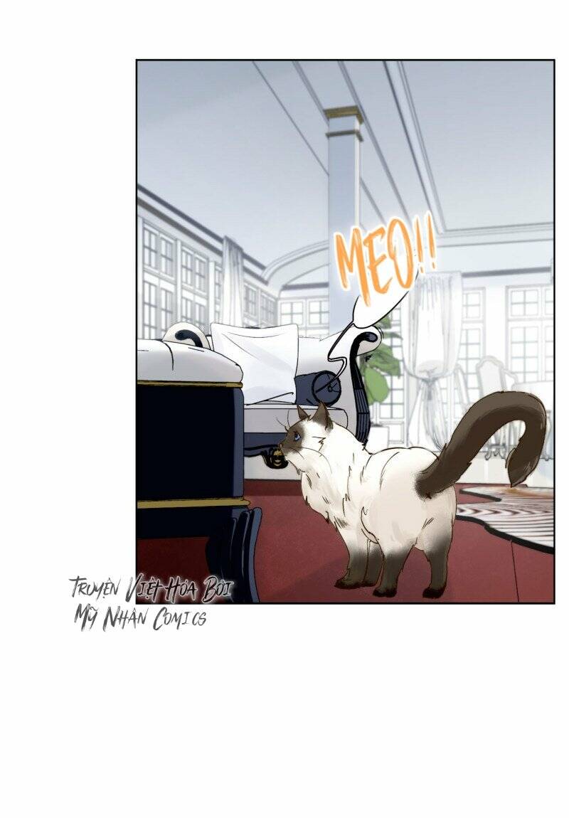 cô ấy đến rồi, xin nằm xuống! chapter 12 29