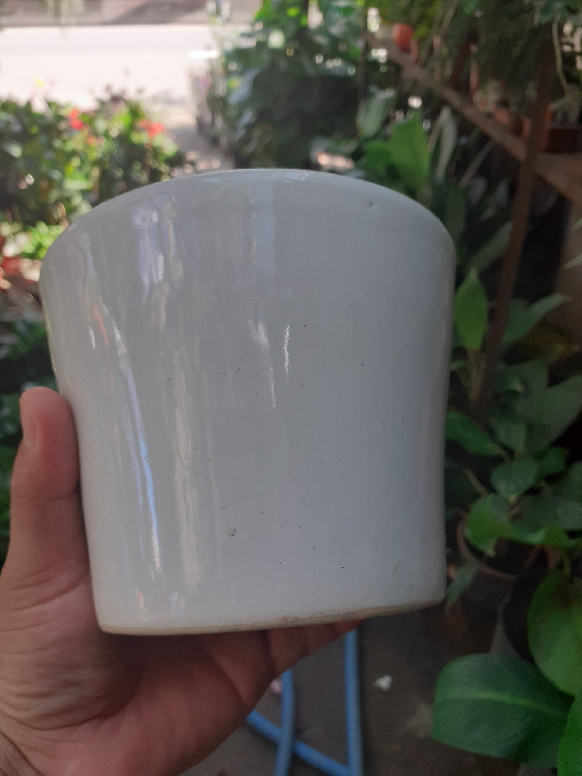 Chậu đất nung TRÁNG MEN MÀU TRẮNG.