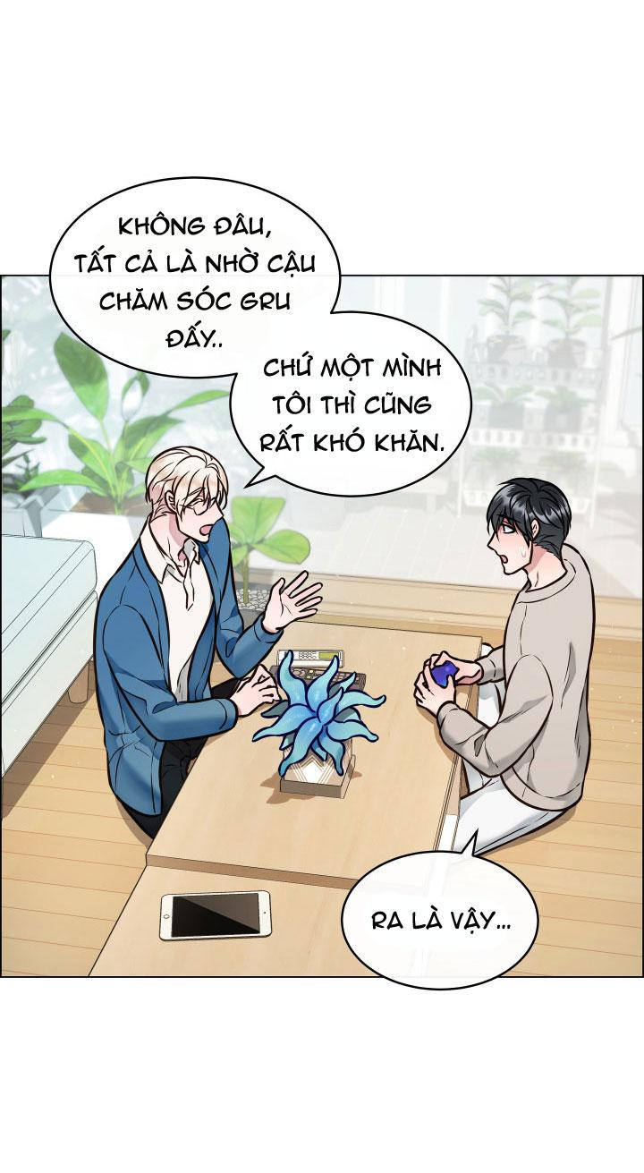 thực vật trị liệu chapter 3 28