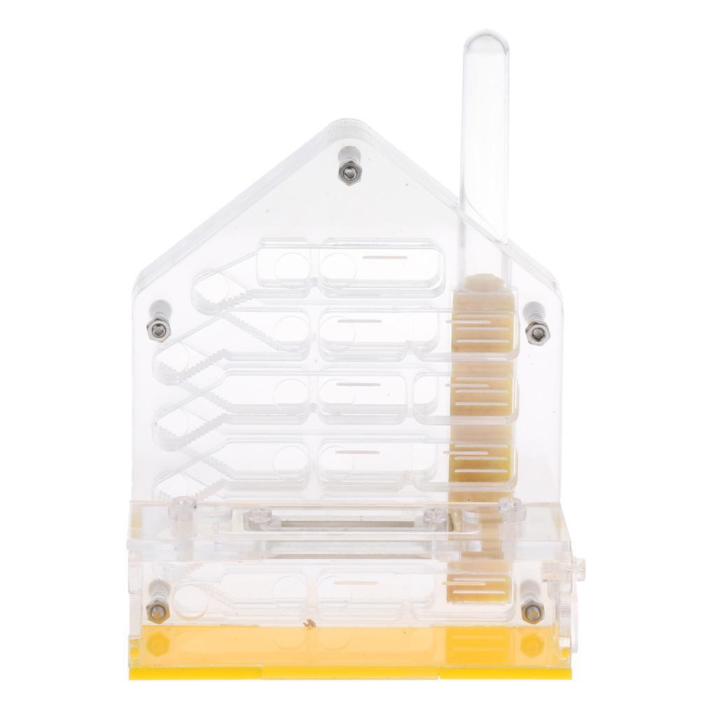 Clear Insect Ant Housing Acrylic Nest Ants Feed Farm Formicarium Box