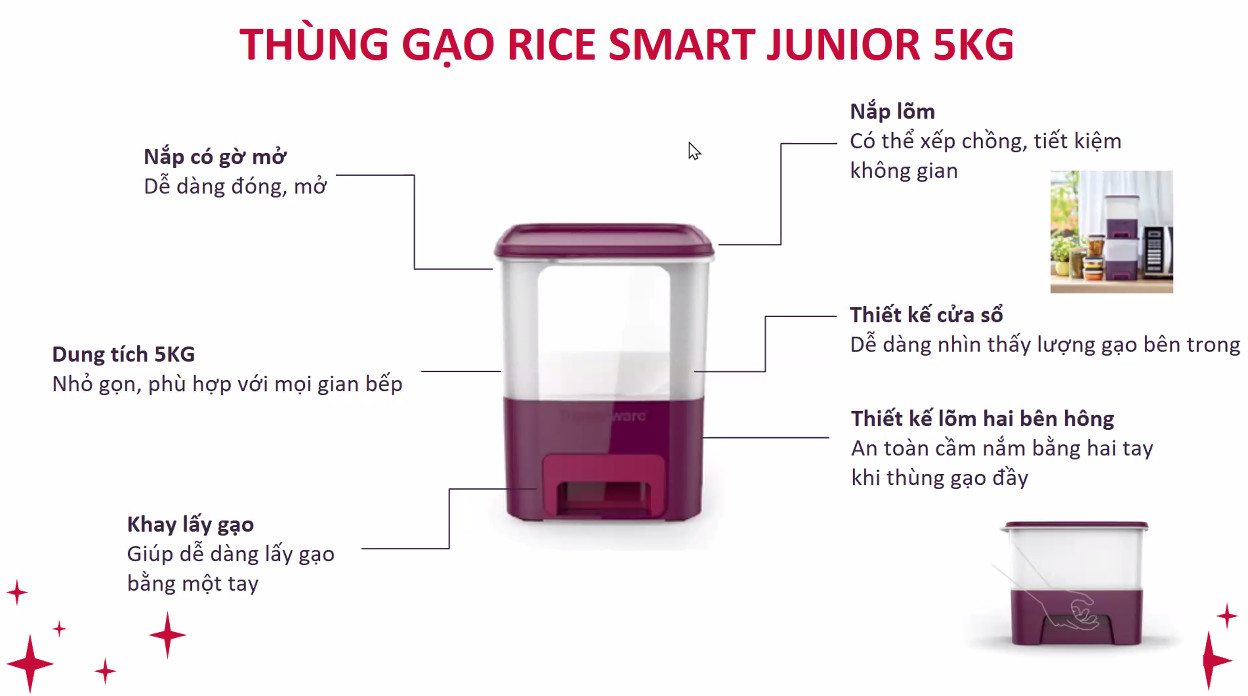 Thùng Gạo Tupperware Rice Smart Junior 5kg - Hàng Chính Hãng