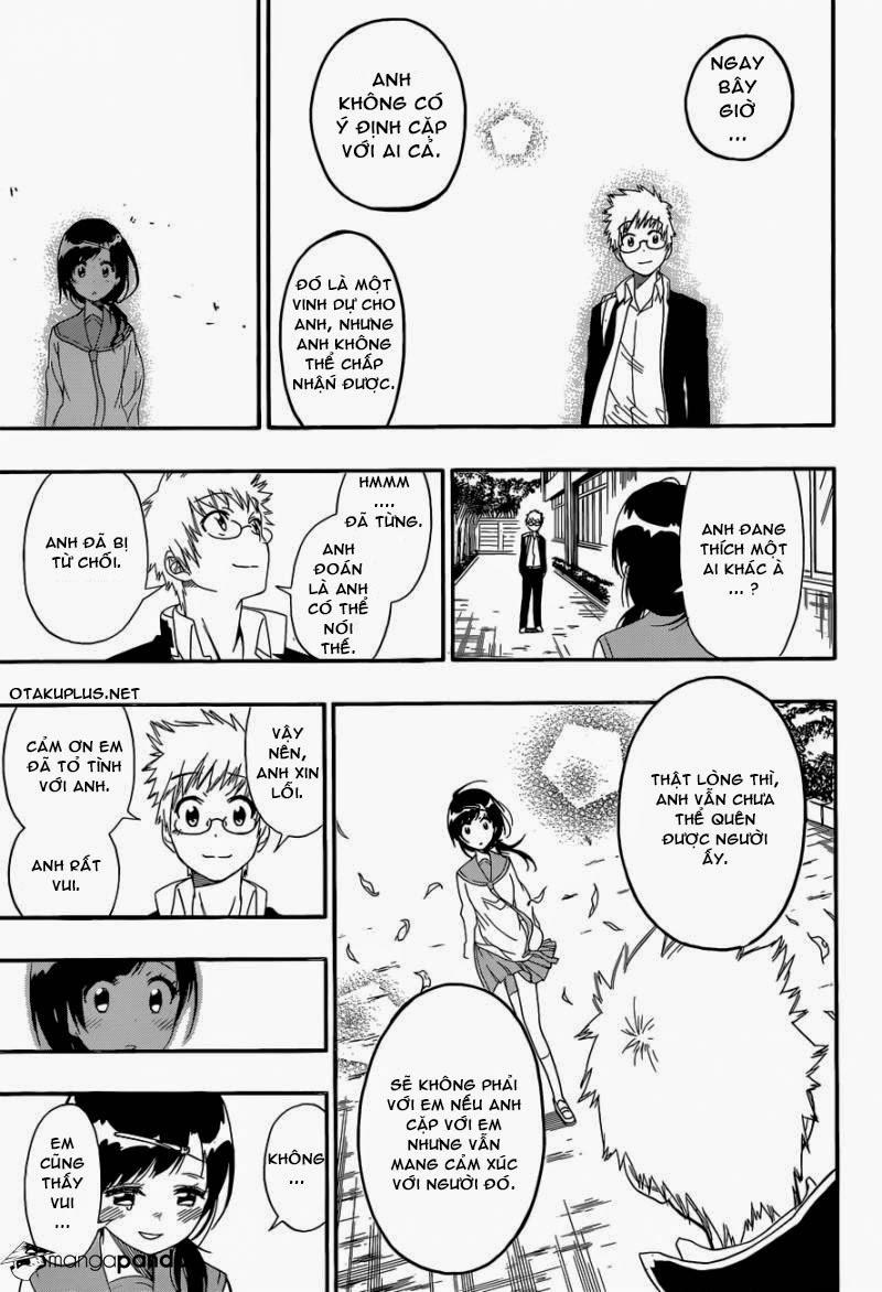 nisekoi - tình yêu giả tạo chapter 141 15