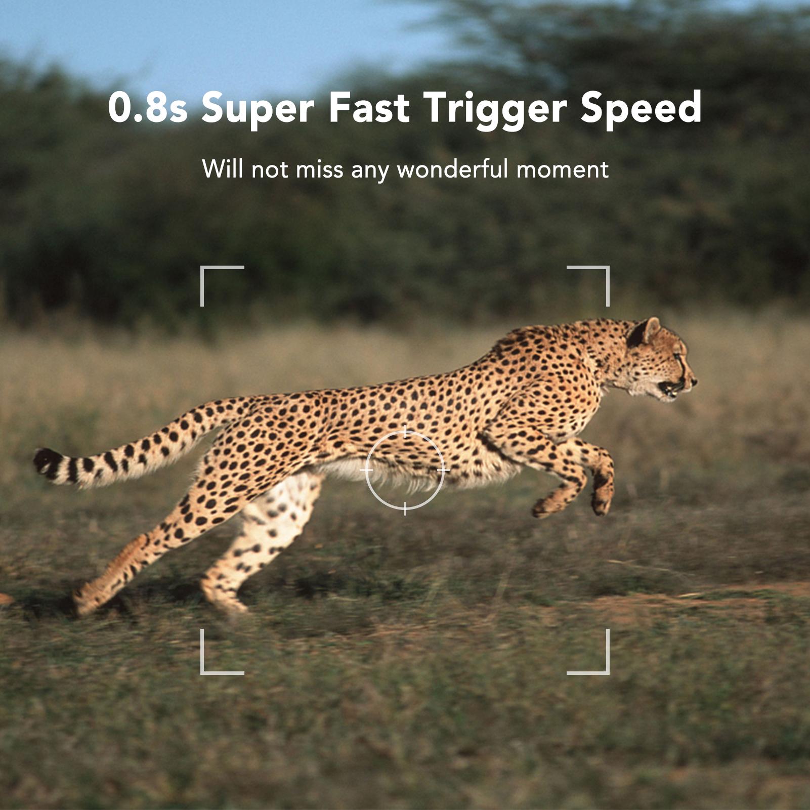 16Mp 1080P Máy Ảnh Đường Mòn Săn Bắn Máy Ảnh Máy Ảnh Hướng Đạo Động Vật Hoang Dã Ngoài Trời Với Cảm Biến Pir Hồng Ngoạimàu Đỏ Tầm Nhìn Ban Đêm